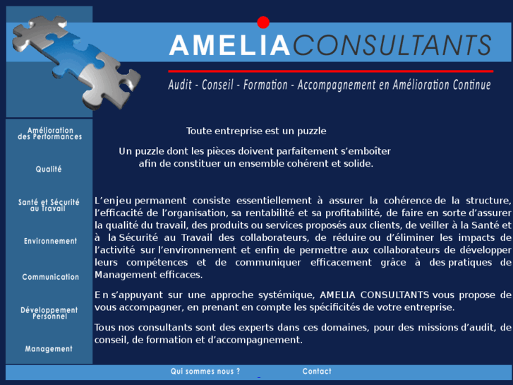 www.ameliaconsultants.com