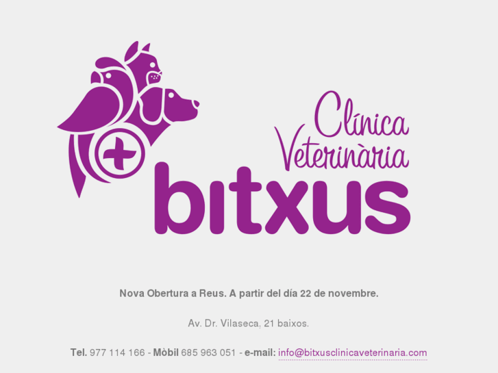 www.bitxusclinicaveterinaria.com