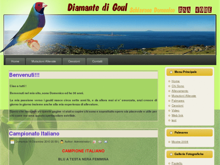 www.diamantedigould.com