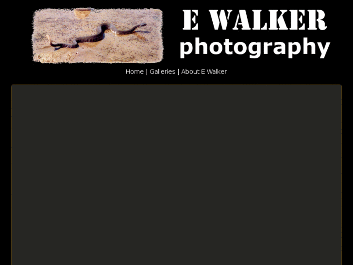 www.ewalkerphotography.com