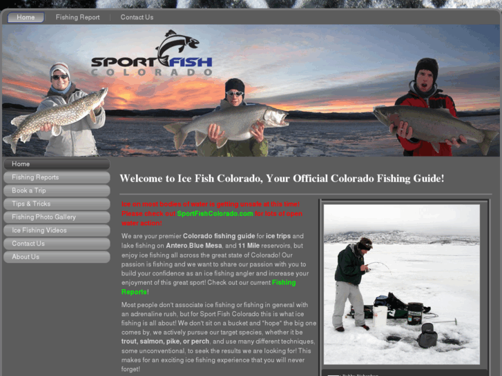 www.icefishcolorado.com