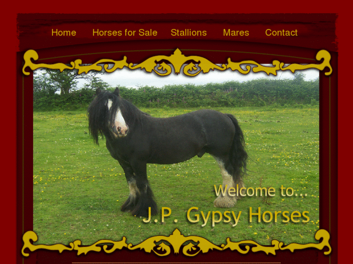 www.jpgypsyhorses.com