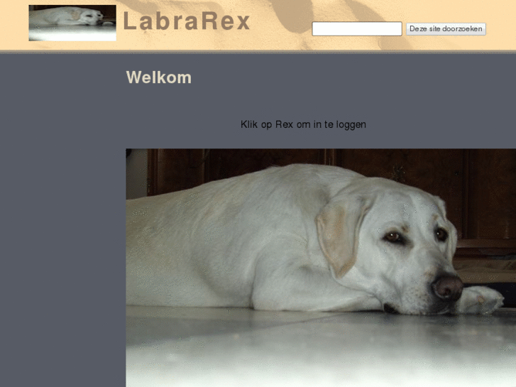 www.labrarex.com