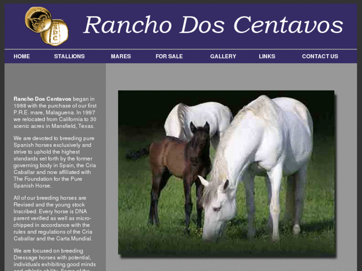 www.ranchodoscentavos.com