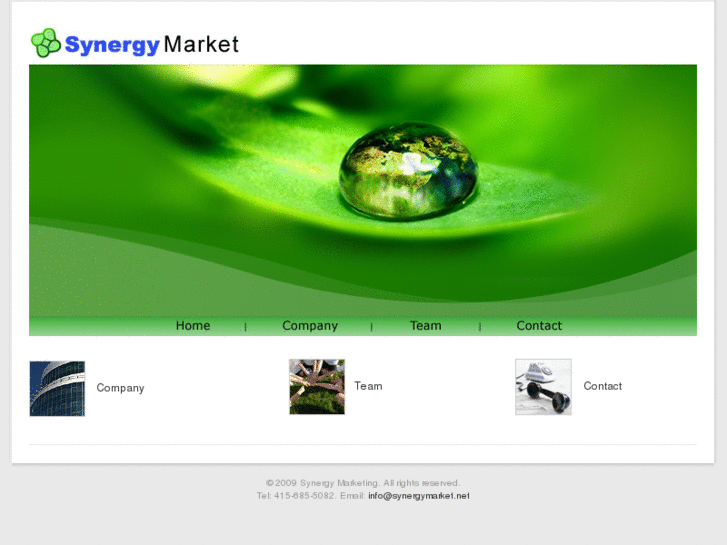 www.synergymarket.net