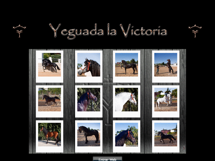 www.yeguadalavictoria.es