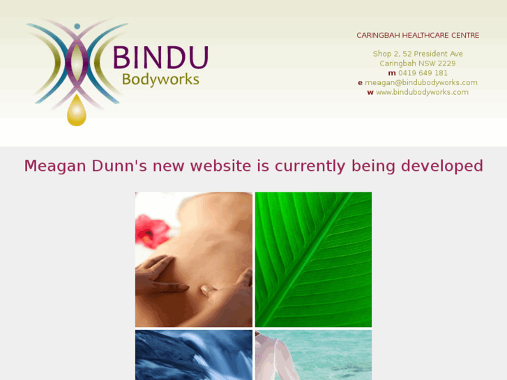 www.bindubodyworks.com