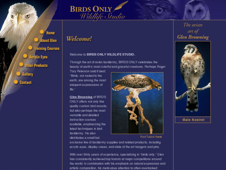 www.birdtaxidermist.com