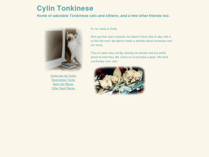 www.cylin.org