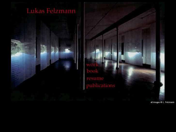 www.lukasfelzmann.com