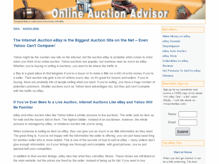 www.online-auction-advisor.com