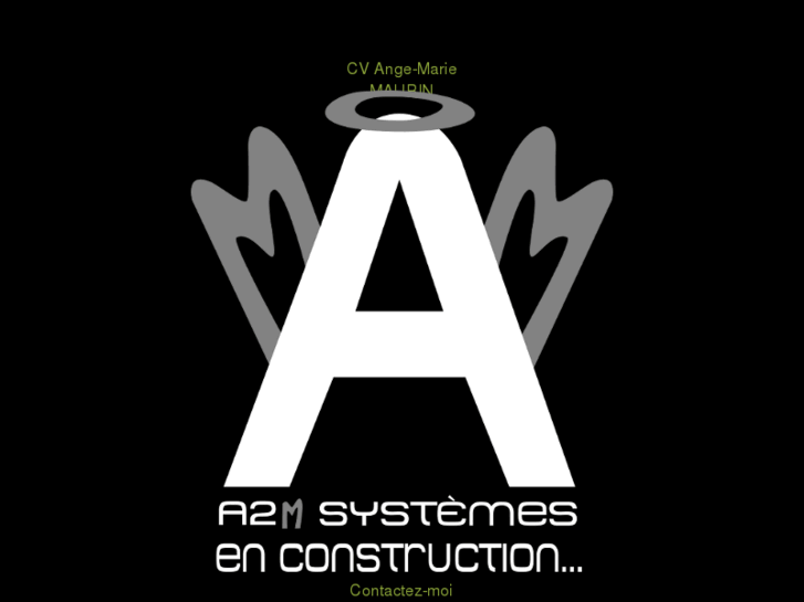 www.a2msystemes.org