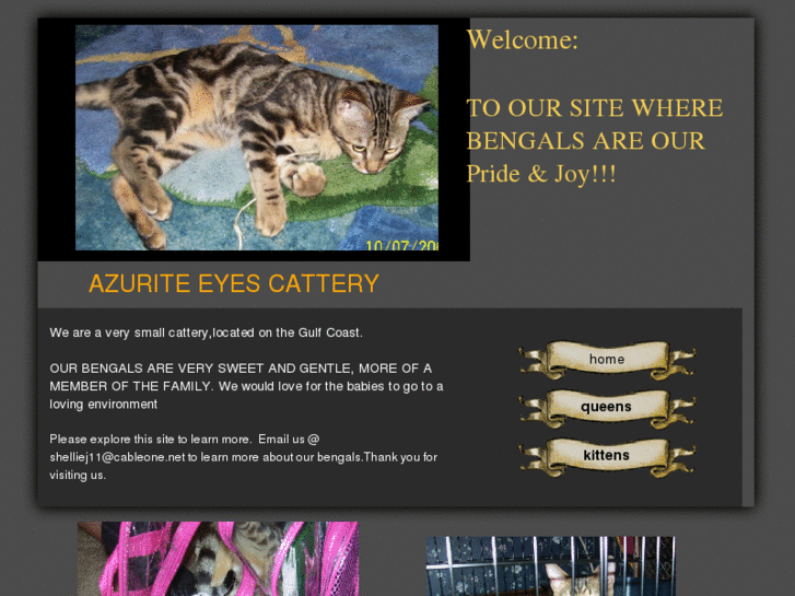 www.azurite-eyes-cattery.com