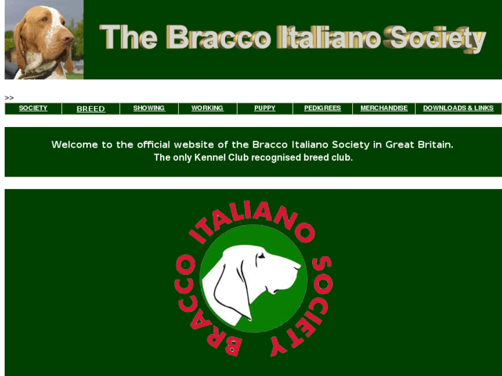 www.bracco-italiano.co.uk