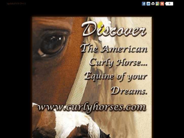 www.curlyhorses.com