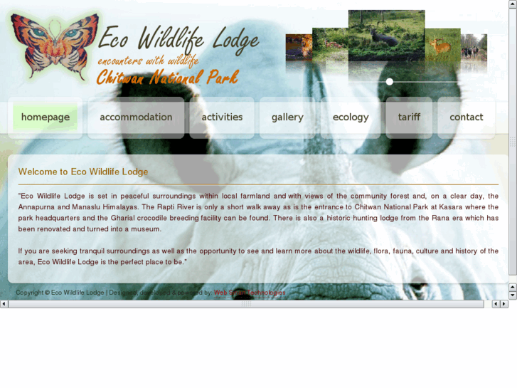 www.ecowildlifelodge.com