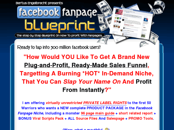 www.facebookfanpageblueprint.com