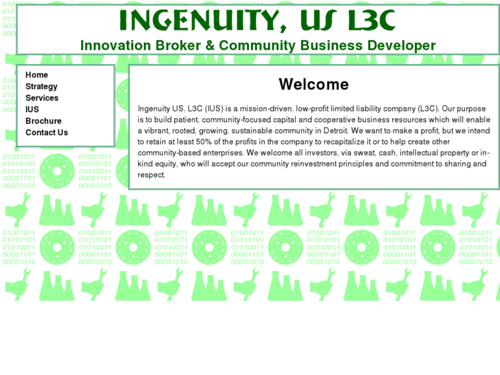 www.ingenuityus.net