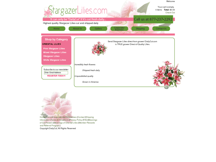 www.stargazerlilies.com