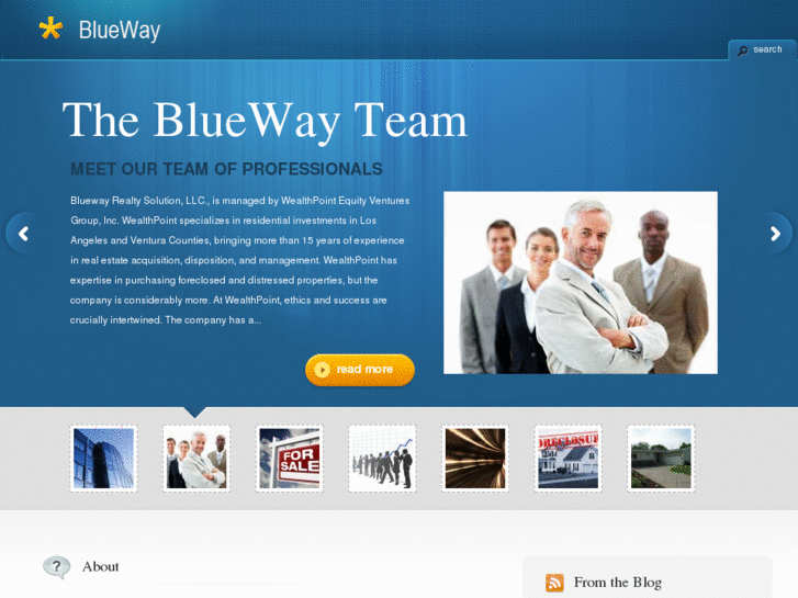 www.bluewayrealtysolution.com