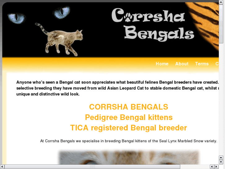 www.corrshabengals.com