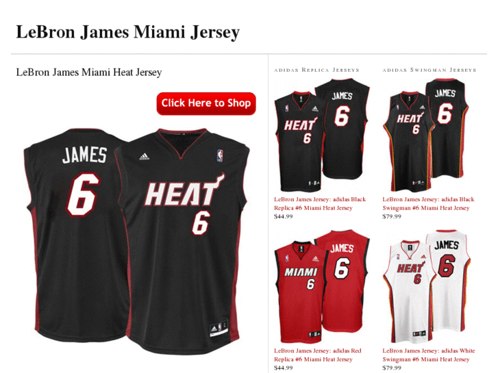 www.lebronjamesknicksjersey.com