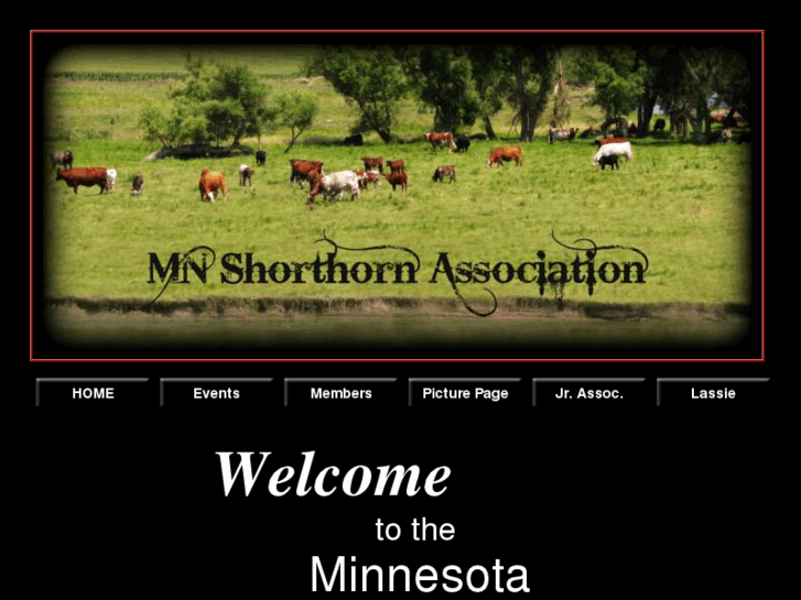 www.mnshorthorn.com