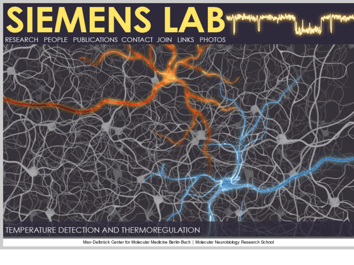 www.siemens-lab.org