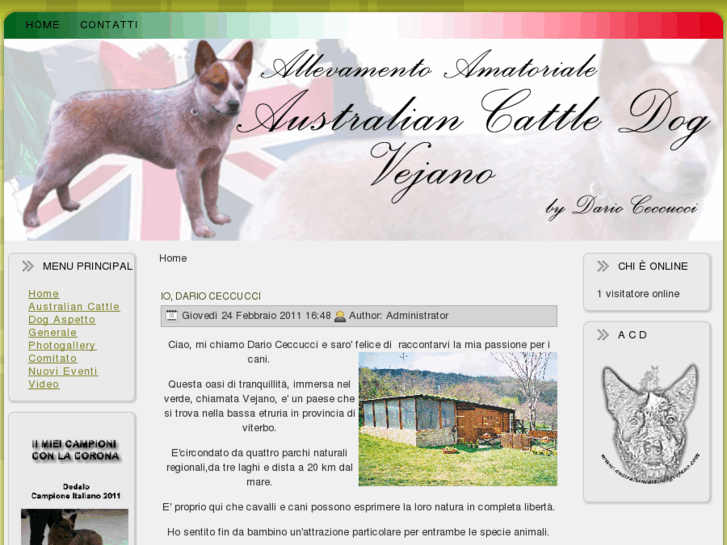 www.australiancattledogvejano.com