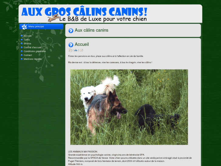 www.aux-calins-canins.com