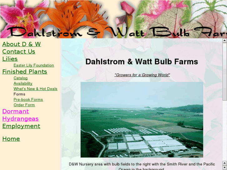 www.dahlwatt.com