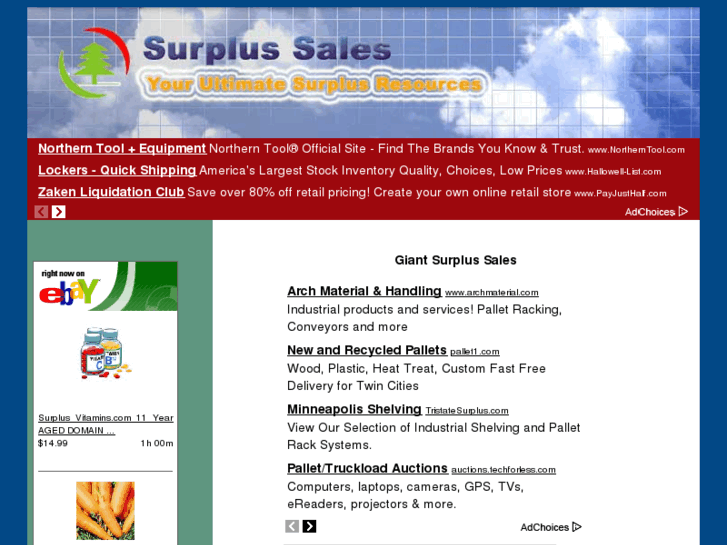 www.giant-surplus-sales.com