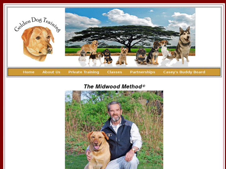 www.goldendogtraining.com