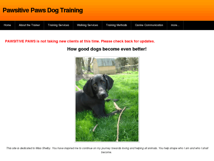 www.positivelypaws.com