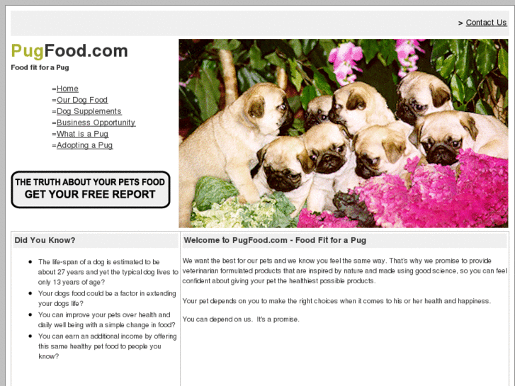 www.pugfood.com