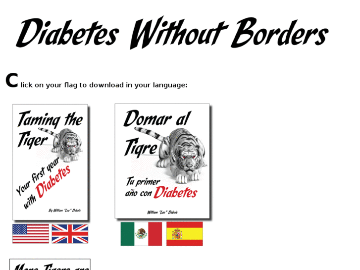 www.diabetes-without-borders.org