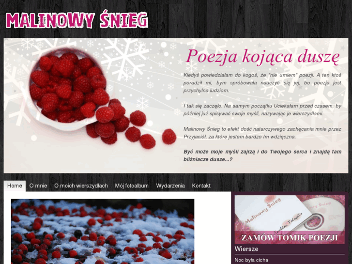 www.malinowysnieg.pl