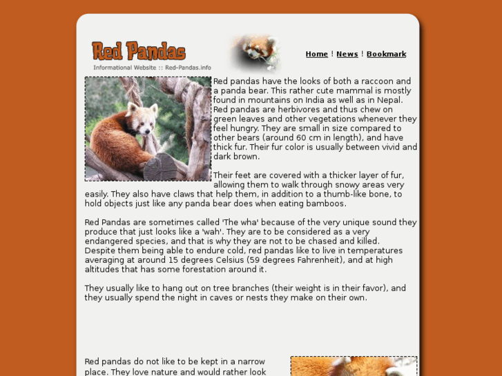 www.red-pandas.info