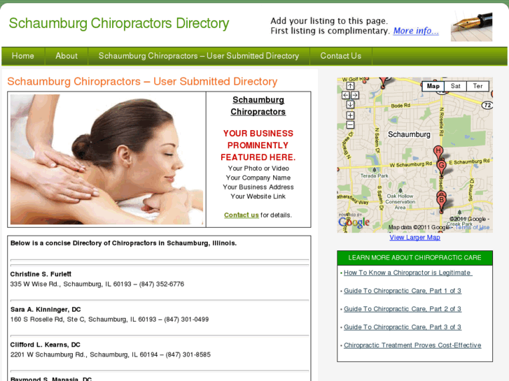 www.schaumburgchiropractors.net