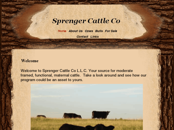 www.sprengercattle.com