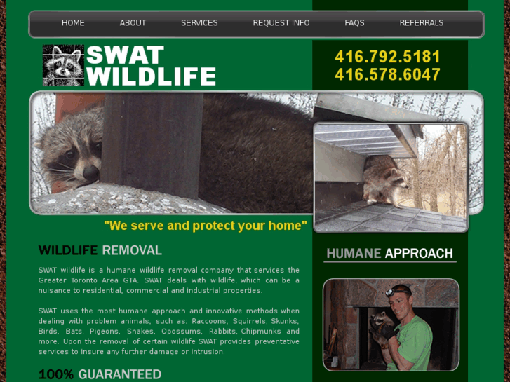 www.swatwildlife.com