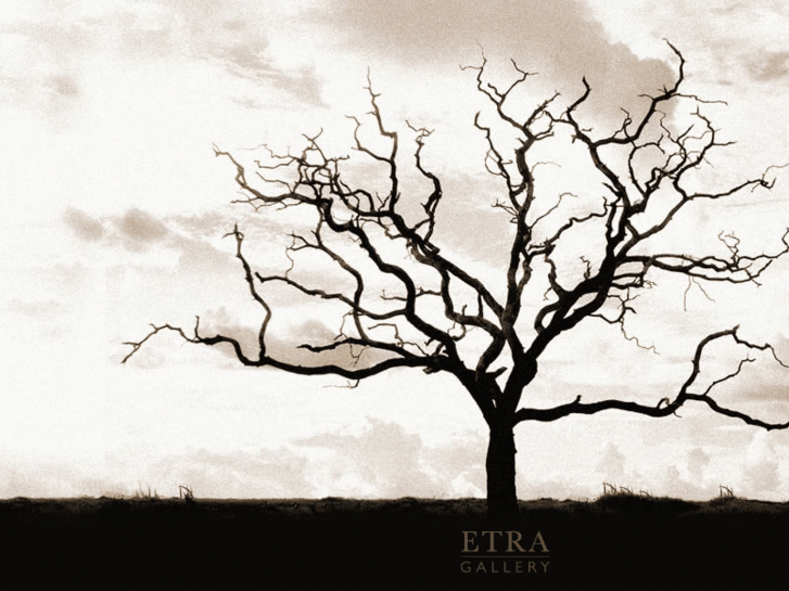 www.etra-gallery.com