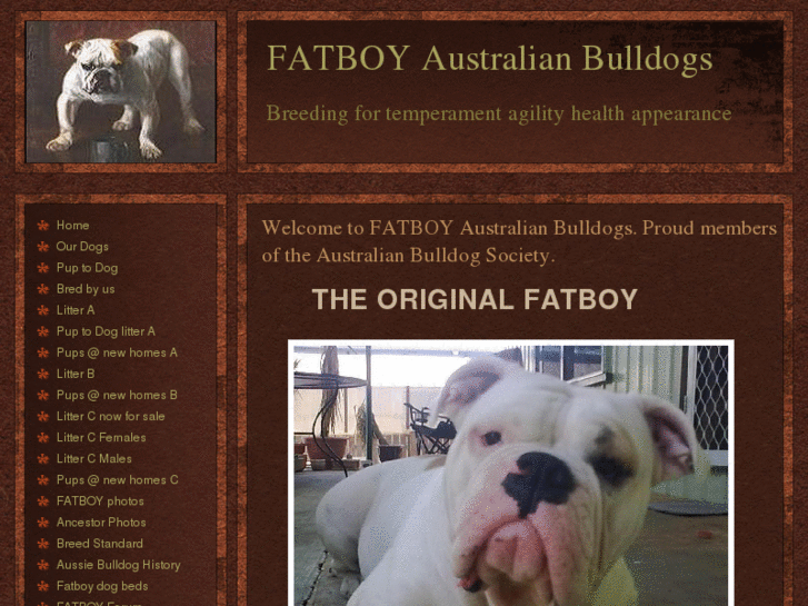 www.fatboyaustralianbulldogs.com