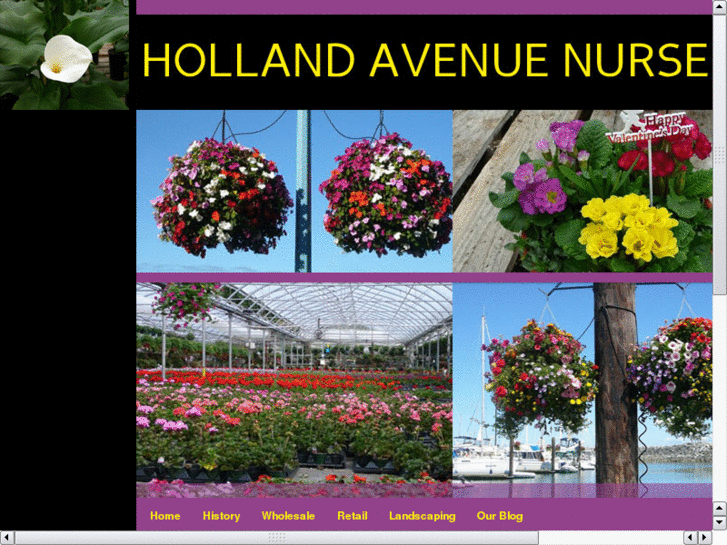 www.hollandavenursery.com