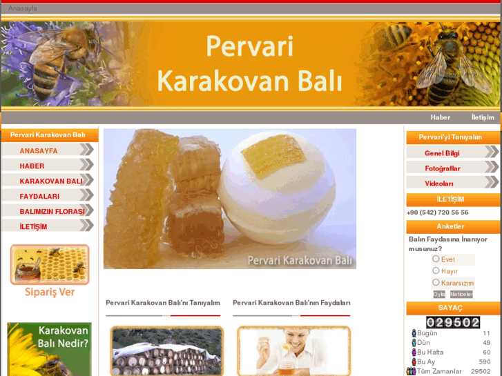 www.pervarikarakovanbali.com