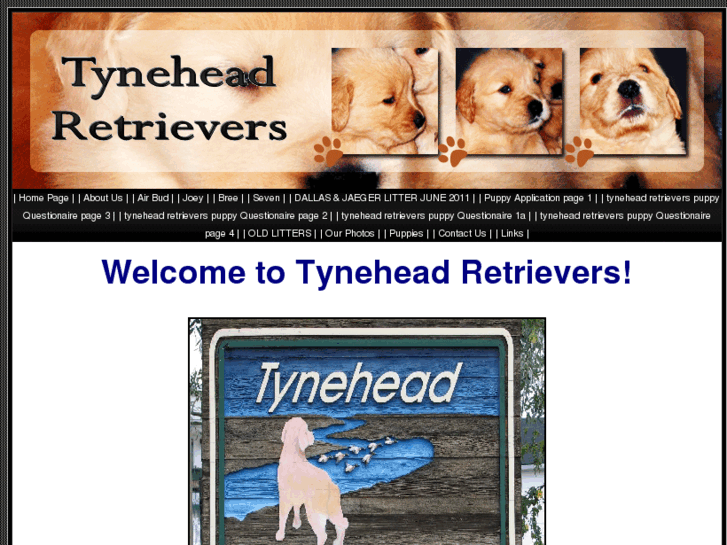 www.tyneheadretrievers.com