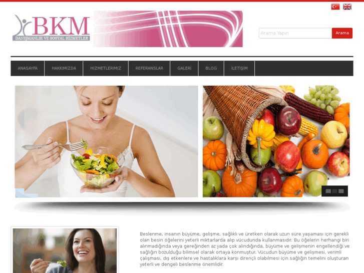 www.bkmdanismanlik.com