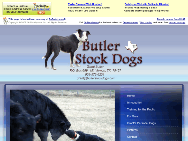 www.butlerstockdogs.com