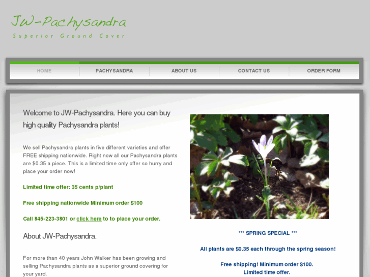 www.jw-pachysandra.com