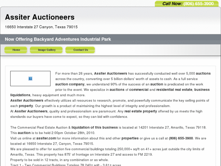 www.professional-auctioneer.com